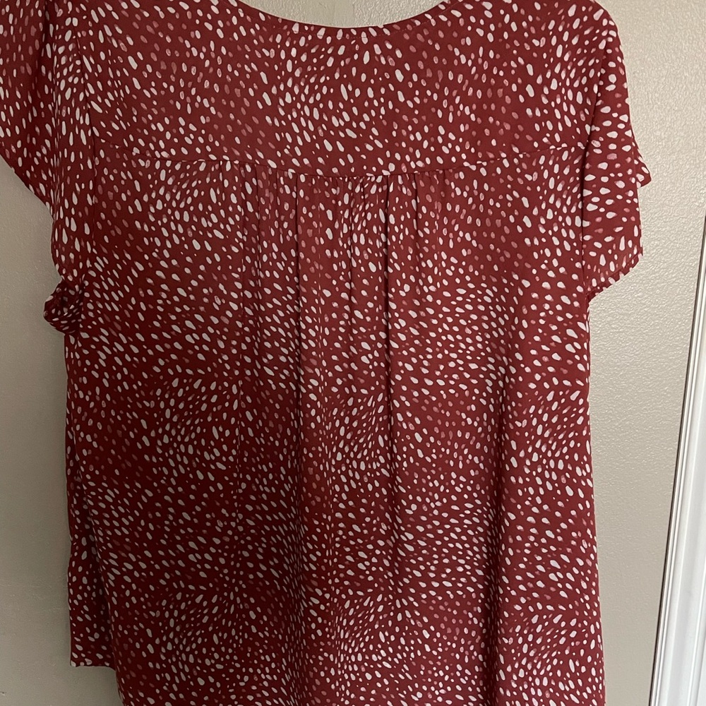 Women’s 2x Beautiful short sleeve blouse from Torrid - Picture 3 of 3